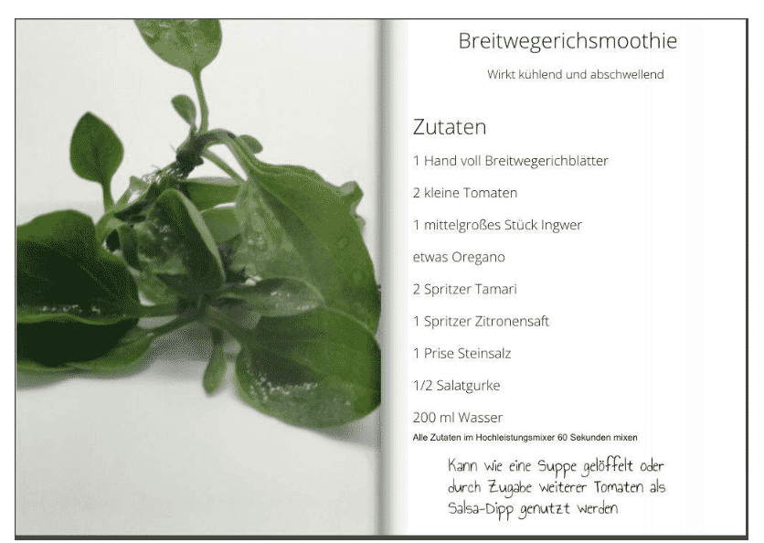 Meine 11 liebsten Wildkräuter-Smoothies Meine 11 liebsten Wildkräuter-Smoothies