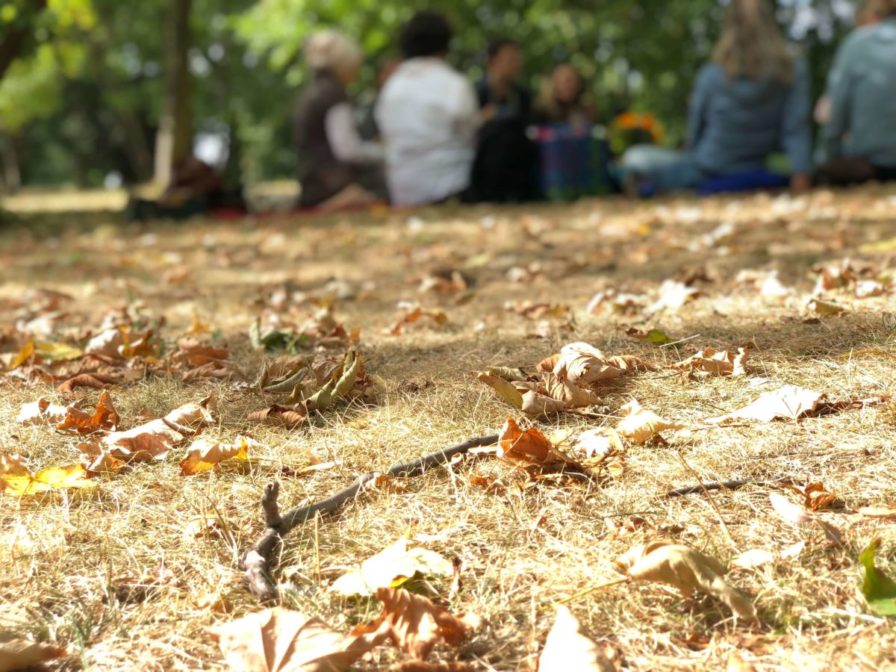 IMG_3720 (1) IMG_3720 (1)